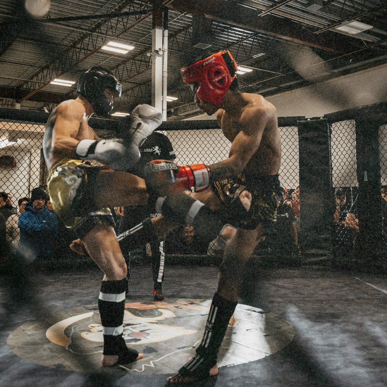 Tandbeskytter MMA: Uundværlig beskyttelse i kampsport